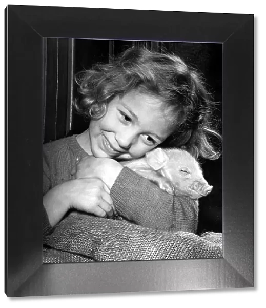 Little girl cuddles a piglet Children with Animals 20  /  01  /  1955