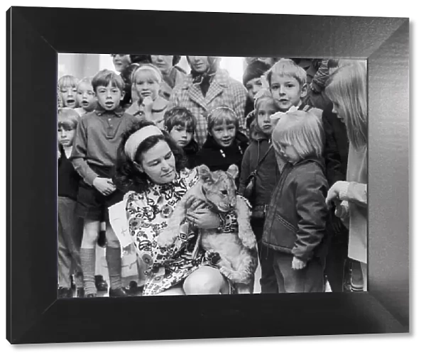Mrs Maureen Waite, of Coventry Zoo holds Richard the lion cub after he had opened a