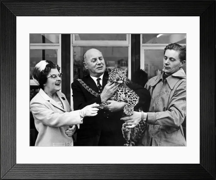Framed Print : The Lord Mayor and Lady Mayoress, Alderman and Mrs W Parfitt Framed Print : The Lord Mayor and Lady Mayoress, Alderman and Mrs W Parfitt