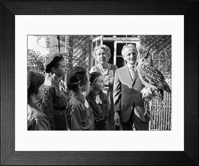 Framed Print : Members of the 222nd Birmingham Brownies at Kings Norton meet Mr Philip Ware Framed Print : Members of the 222nd Birmingham Brownies at Kings Norton meet Mr Philip Ware