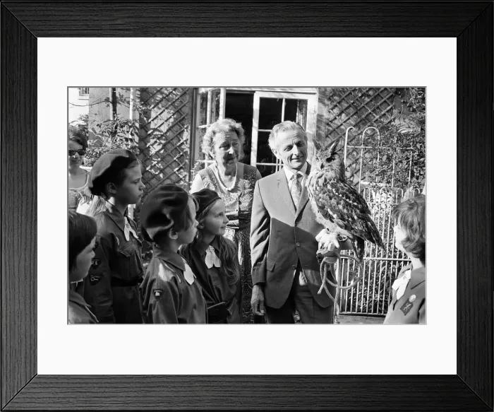 Framed Print : Members of the 222nd Birmingham Brownies at Kings Norton meet Mr Philip Ware Framed Print : Members of the 222nd Birmingham Brownies at Kings Norton meet Mr Philip Ware