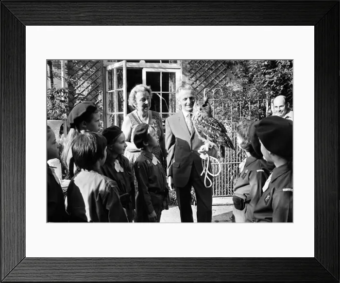 Framed Print : Members of the 222nd Birmingham Brownies at Kings Norton meet Mr Philip Ware Framed Print : Members of the 222nd Birmingham Brownies at Kings Norton meet Mr Philip Ware