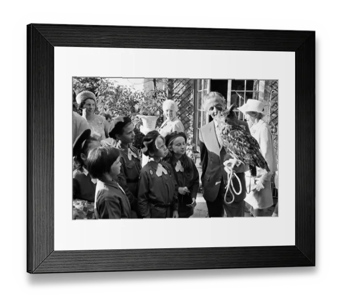 Framed Print : Members of the 222nd Birmingham Brownies at Kings Norton meet Mr Philip Ware Framed Print : Members of the 222nd Birmingham Brownies at Kings Norton meet Mr Philip Ware