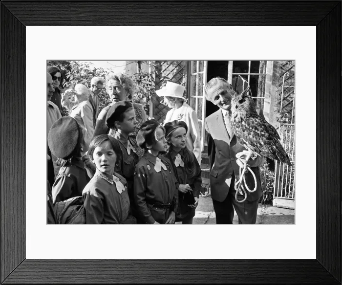 Framed Print : Members of the 222nd Birmingham Brownies at Kings Norton meet Mr Philip Ware Framed Print : Members of the 222nd Birmingham Brownies at Kings Norton meet Mr Philip Ware