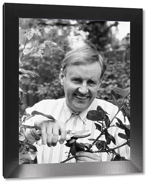 Actor Richard Briers seen here in the garden pruning roses at his West London home
