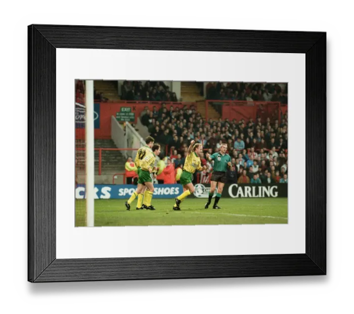 Framed Print : Sheffield United 1 v Norwich City 2 Premiership match at Bramall Lane Attendance 18