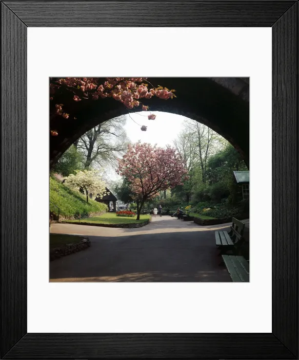 Framed Print : Norwich East Anglia England - 1972 General Views - Street Scene Castle Gardens Framed Print : Norwich East Anglia England - 1972 General Views - Street Scene Castle Gardens