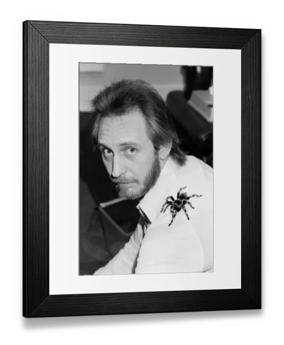 Framed Print : John Entwistle, bass guitarist of British rock group The Who with his pet tarantula Doris Framed Print : John Entwistle, bass guitarist of British rock group The Who with his pet tarantula Doris