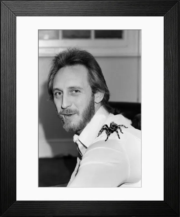 Framed Print : John Entwistle, bass guitarist of British rock group The Who with his pet tarantula Doris
