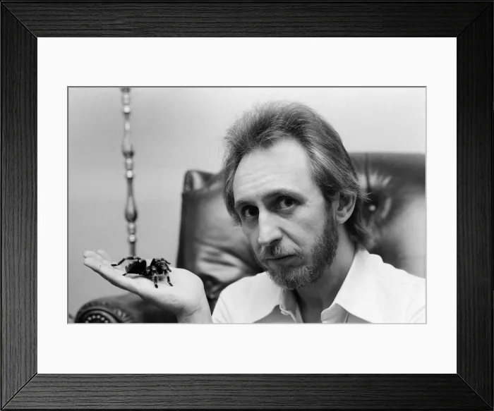 Framed Print : John Entwistle, bass guitarist of British rock group The Who with his pet tarantula Doris Framed Print : John Entwistle, bass guitarist of British rock group The Who with his pet tarantula Doris