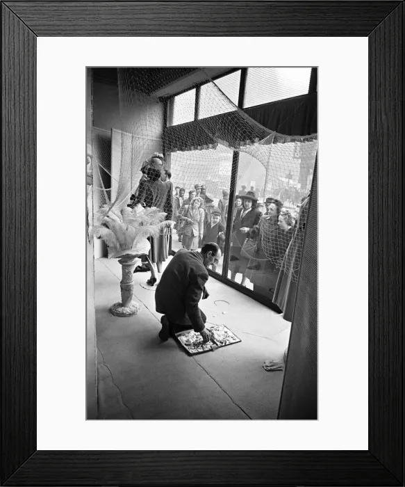 Framed Print : Scenes from inside the shop window at Peter Robinsons Department Store, London Framed Print : Scenes from inside the shop window at Peter Robinsons Department Store, London