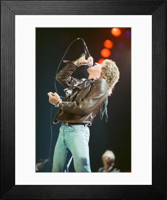 Framed Print : British rock group The Who, performing on stage at the NEC in Birmingham Framed Print : British rock group The Who, performing on stage at the NEC in Birmingham