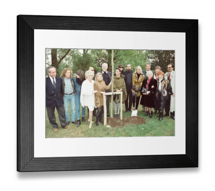 Framed Print : Roger Daltrey, singer of British rock group The Who, pictured at Hyde Park to replace Framed Print : Roger Daltrey, singer of British rock group The Who, pictured at Hyde Park to replace