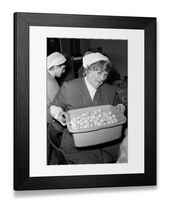 Framed Print : Pickled Onion Factory workers hard at work with tears in their eyes. July 5th 1978