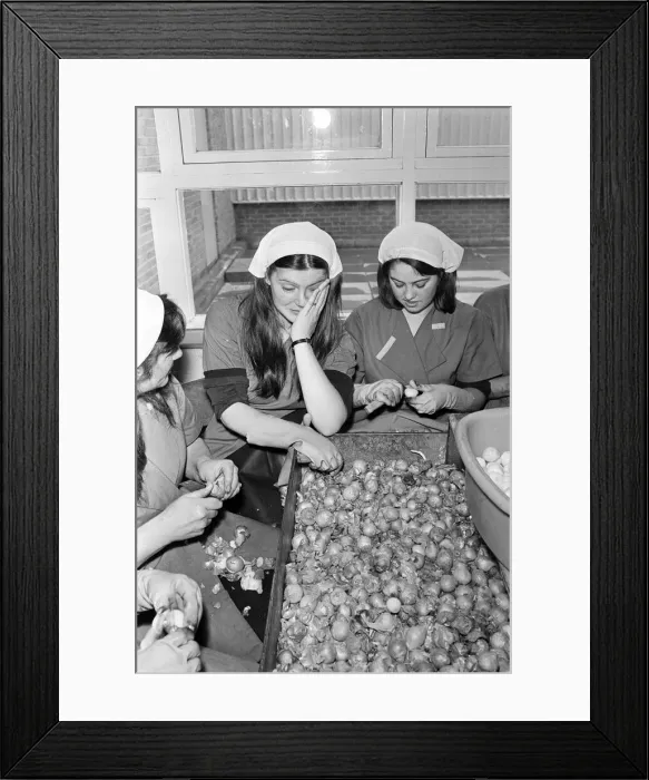 Framed Print : Pickled Onion Factory workers hard at work with tears in their eyes. July 5th 1978 Framed Print : Pickled Onion Factory workers hard at work with tears in their eyes. July 5th 1978