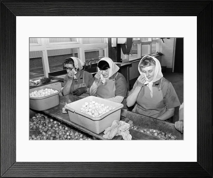 Framed Print : Pickled Onion Factory workers hard at work with tears in their eyes. July 5th 1978