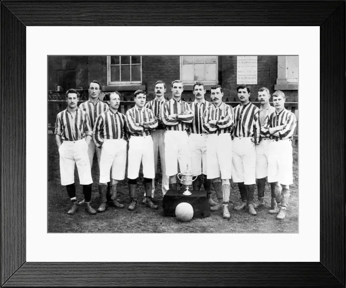 Framed Print : FA Cup Winners West Bromwich Albion pose for a team group photograph with the trophy Framed Print : FA Cup Winners West Bromwich Albion pose for a team group photograph with the trophy