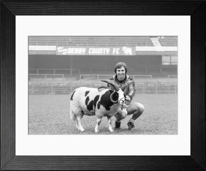 Framed Print : Derby County manager Colin Addison gets to grips with the clubs mascot Proudman
