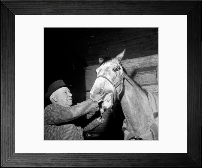 Framed Print : Pictures takes at stables at Newmarket, behind the scenes Framed Print : Pictures takes at stables at Newmarket, behind the scenes