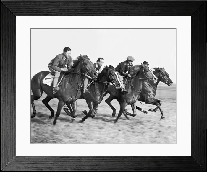 Framed Print : Horses Star King, Martin Venture, British Soli and Prince Danils on early morning gallop Framed Print : Horses Star King, Martin Venture, British Soli and Prince Danils on early morning gallop