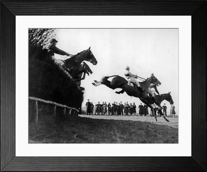 Framed Print : Horseracing action in the Portsdale Steeplechase at Plumpton Framed Print : Horseracing action in the Portsdale Steeplechase at Plumpton