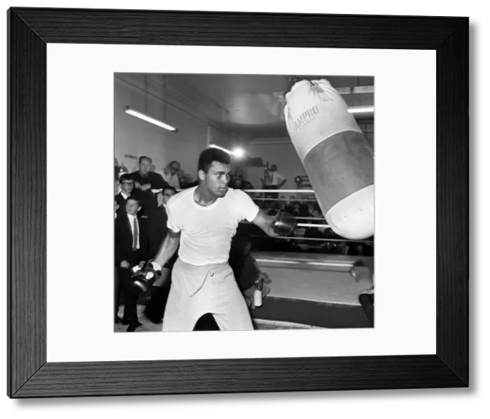 Framed Print : Cassius Clay later to become Muhammad Ali training for his upcoming fight with Brain Framed Print : Cassius Clay later to become Muhammad Ali training for his upcoming fight with Brain