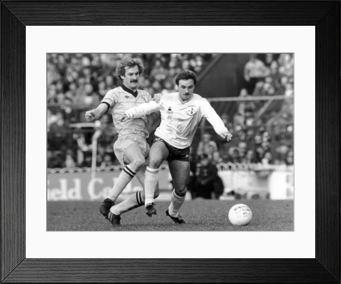 Framed Print : FA Cup fourth round match at White Hart Lane, Tottenham Hotspur 2 v West Bromwich Albion Framed Print : FA Cup fourth round match at White Hart Lane, Tottenham Hotspur 2 v West Bromwich Albion
