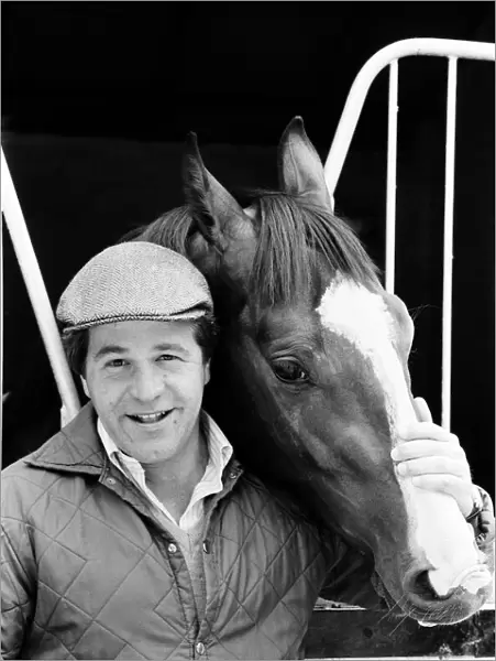 Derby winning racehorse Shergar at stables. 6th June 1981