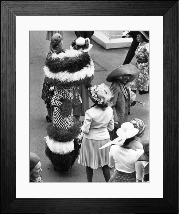Framed Print : Ladies day at Royal Ascot. Mrs Gertrude Shilling stands out in feathers Framed Print : Ladies day at Royal Ascot. Mrs Gertrude Shilling stands out in feathers