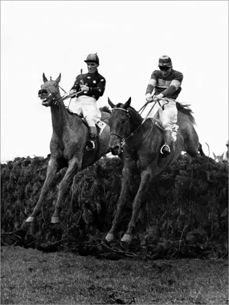 Teal (Jockey in spotted shirt) and Legal joy take the last fence in the 1952 Grand
