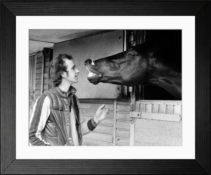 Framed Print : Racehorse Black Minstrel waits for a kiss from stable lad Howard Thomas at Duncan