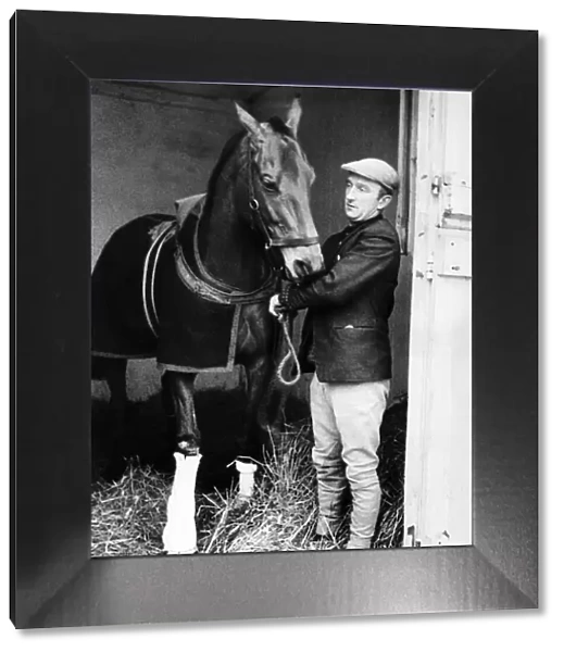 Racehorse Arkle with his leg in plaster in his stable at Kempton with jockey Paddy Woods
