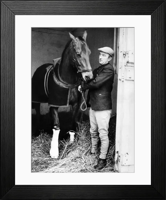 Framed Print : Racehorse Arkle with his leg in plaster in his stable at Kempton with jockey Paddy Woods Framed Print : Racehorse Arkle with his leg in plaster in his stable at Kempton with jockey Paddy Woods