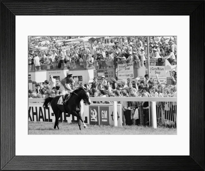 Framed Print : Walter Swinburn on racehorse Shergar wins the Derby at Epsom. 3rd June 1981 Framed Print : Walter Swinburn on racehorse Shergar wins the Derby at Epsom. 3rd June 1981