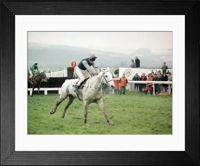 Framed Print : Champion racehorese Desert Orchid on his way to first place in the Gold Cup race Framed Print : Champion racehorese Desert Orchid on his way to first place in the Gold Cup race