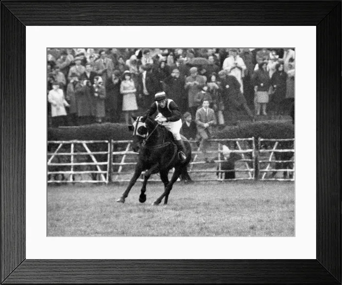 Framed Print : Foinavon on the way to wining the Grand National after a huge Pile Up Causes Race Framed Print : Foinavon on the way to wining the Grand National after a huge Pile Up Causes Race