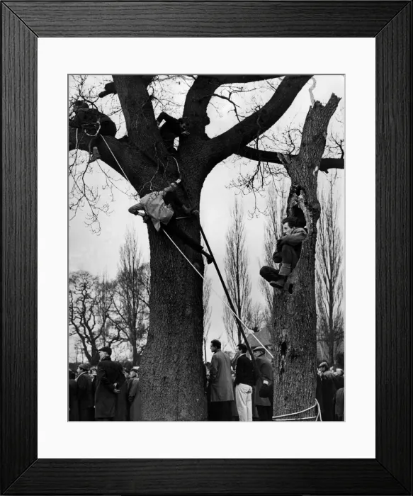 Framed Print : Alvechurch fans climb trees to get a view of their team in action against Enfield in