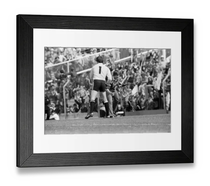 Framed Print : Wales 3-0 Scotland, British Championship match at Ninian Park, Saturday 19th May 1979