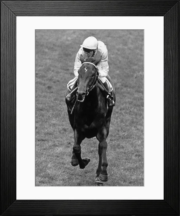 Framed Print : American jockey Steve Cauthen in action to win the Epsom Derby on Slip Anchor Framed Print : American jockey Steve Cauthen in action to win the Epsom Derby on Slip Anchor