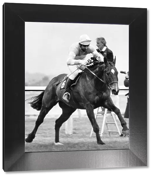 Grittar ridden by Dick Saunders on the run in at Aintree to become the winner of the 1982