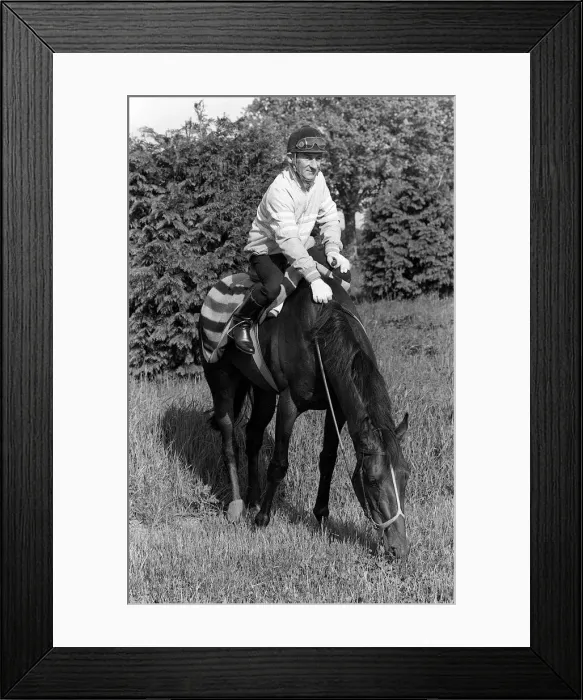 Framed Print : Dancing Brave and jockey Greville Starkey after an early morning gallop 29th May Framed Print : Dancing Brave and jockey Greville Starkey after an early morning gallop 29th May