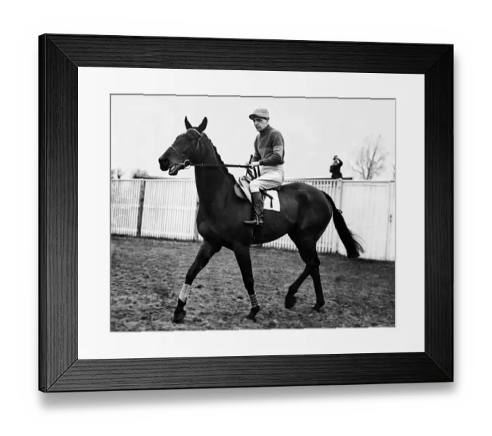 Framed Print : Famous racehorse Golden Miller with jockey G Wilson up, February 1936 Framed Print : Famous racehorse Golden Miller with jockey G Wilson up, February 1936