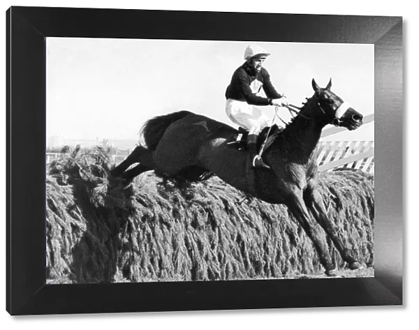 Red Rum at full stretch as he jumps over fence on his way to winning the Grand National