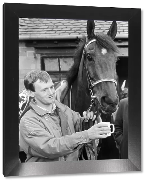 West Tip seen here having a cup of tea on his return to his stables after winning