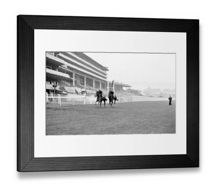 Framed Print : French horse Sea Bird II in training the day before the Epsom Derby horse race Framed Print : French horse Sea Bird II in training the day before the Epsom Derby horse race