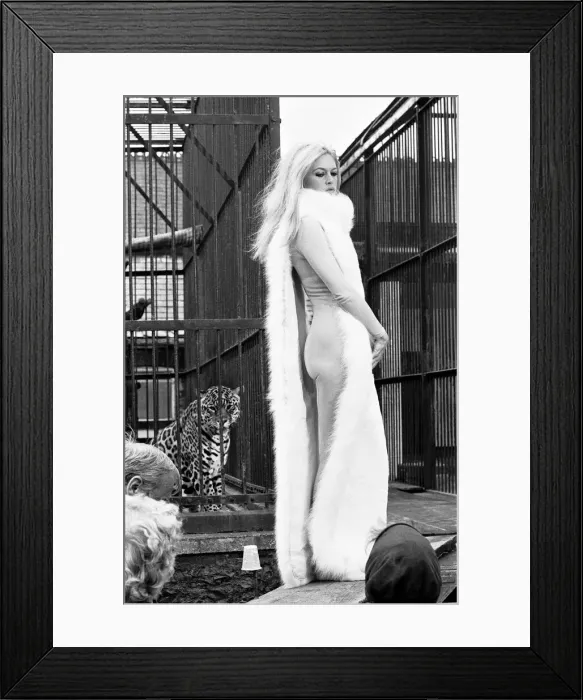 Framed Print : Brigitte Bardot French actress in skin tight catsuit with fur cape standing beside cage Framed Print : Brigitte Bardot French actress in skin tight catsuit with fur cape standing beside cage