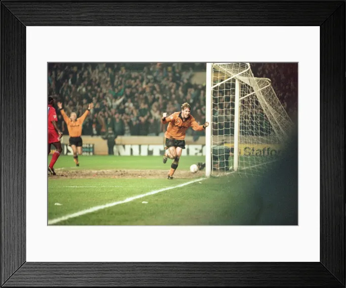 Framed Print : David Kelly celebrates his goal against Crystal Palace in the FA Cup Framed Print : David Kelly celebrates his goal against Crystal Palace in the FA Cup