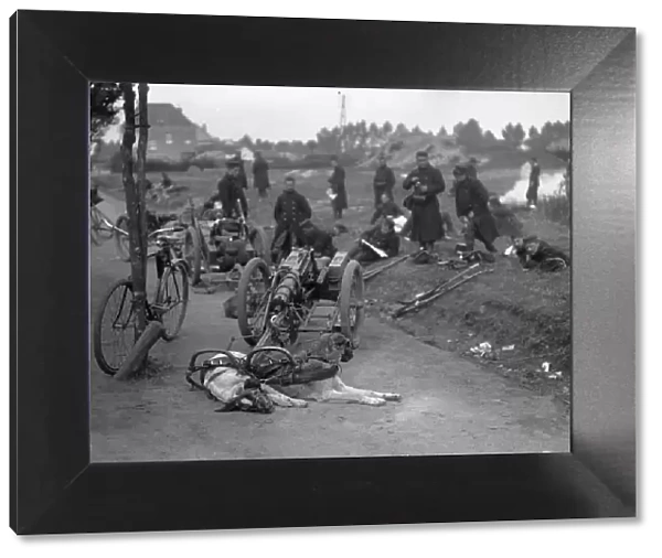 Belgian gun dog teams take a rest on the road to Hofstade 28th September 1914