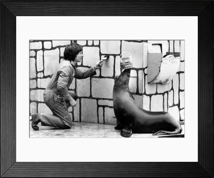 Framed Print : West Midland Safari and Leisure Park, located in Bewdley, Worcestershire, England