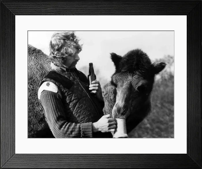 Framed Print : West Midland Safari and Leisure Park, located in Bewdley, Worcestershire, England
